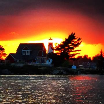 Anthony Cerretani's-Profile Picture