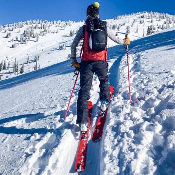 Rebecca Taylor's-Profile Picture