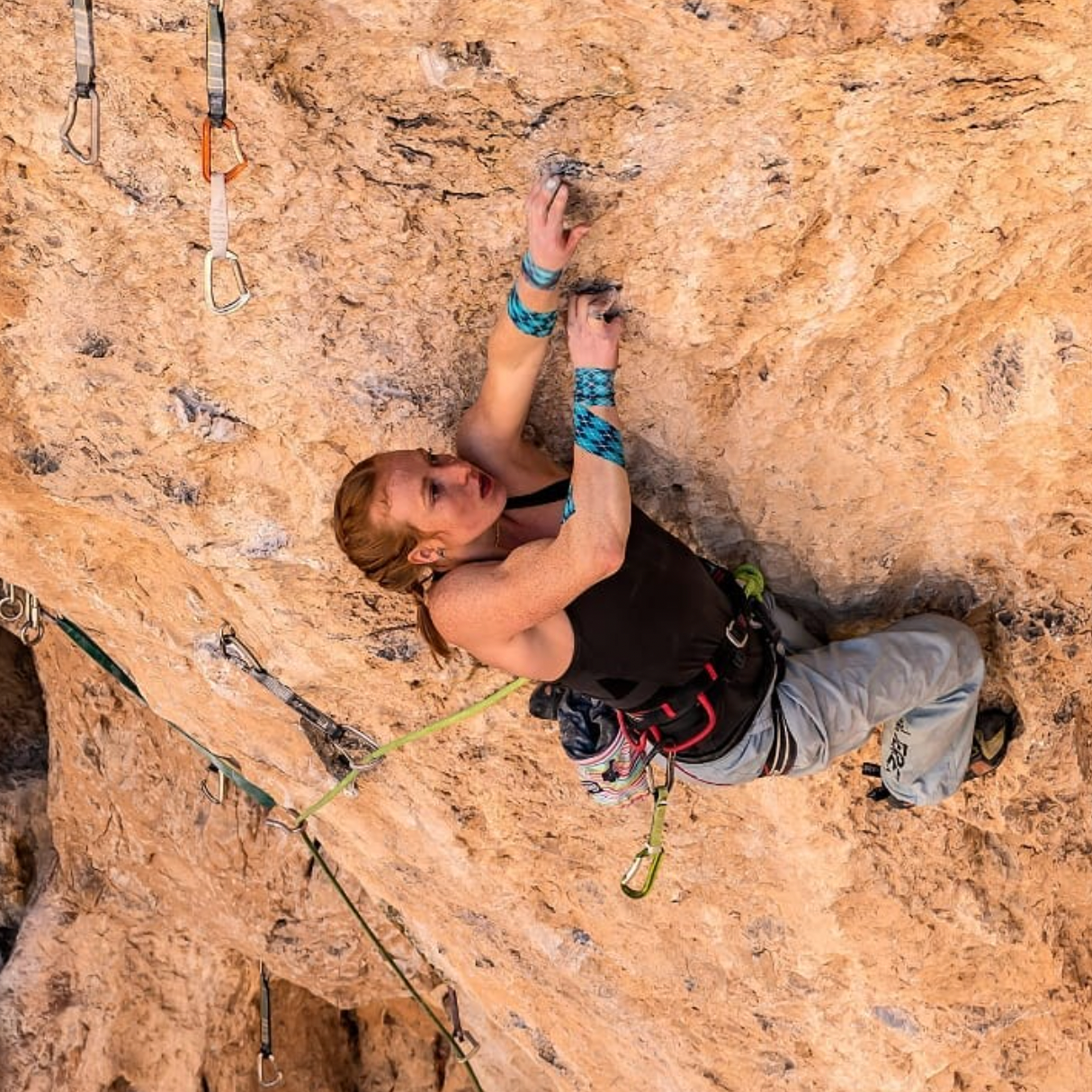 Delaney Miller's-Profile Picture